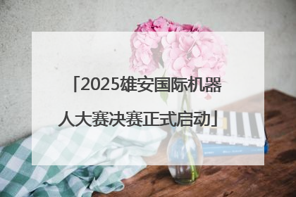 2025雄安国际机器人大赛决赛正式启动