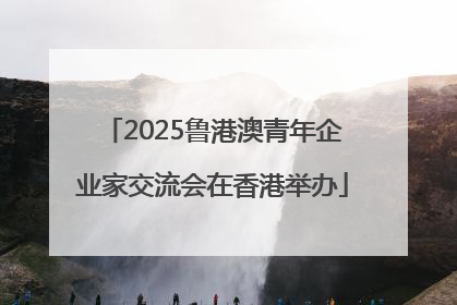 2025鲁港澳青年企业家交流会在香港举办