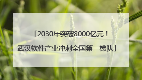 2030年突破8000亿元！武汉软件产业冲刺全国第一梯队