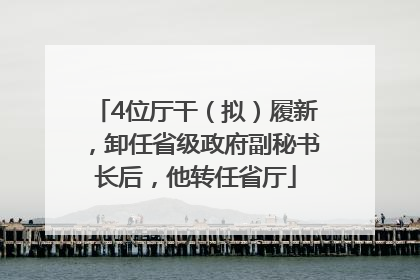 4位厅干（拟）履新，卸任省级政府副秘书长后，他转任省厅