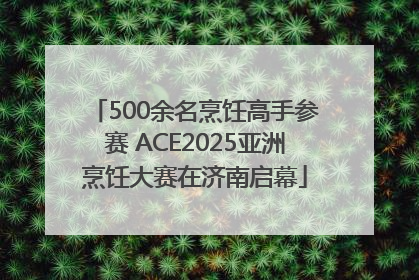 500余名烹饪高手参赛 ACE2025亚洲烹饪大赛在济南启幕