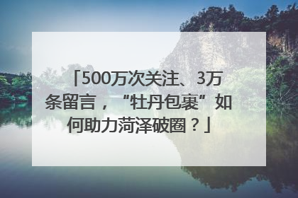 500万次关注、3万条留言，“牡丹包裹”如何助力菏泽破圈？