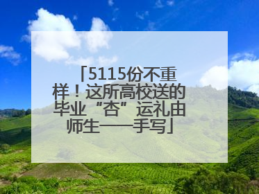 5115份不重样！这所高校送的毕业“杏”运礼由师生一一手写