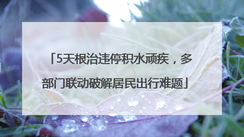 5天根治违停积水顽疾，多部门联动破解居民出行难题