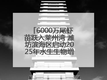 6000万尾虾苗跃入莱州湾 潍坊滨海区启动2025年水生生物增殖放流工作
