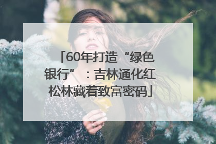 60年打造“绿色银行”：吉林通化红松林藏着致富密码