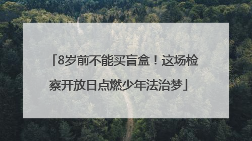 8岁前不能买盲盒！这场检察开放日点燃少年法治梦
