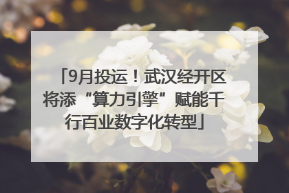 9月投运！武汉经开区将添“算力引擎”赋能千行百业数字化转型