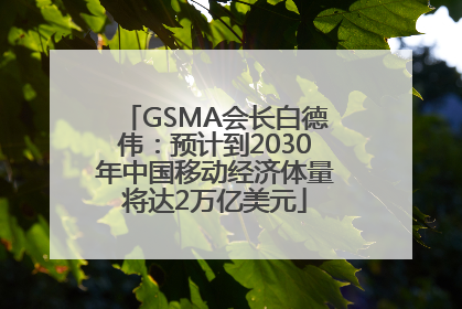 GSMA会长白德伟：预计到2030年中国移动经济体量将达2万亿美元