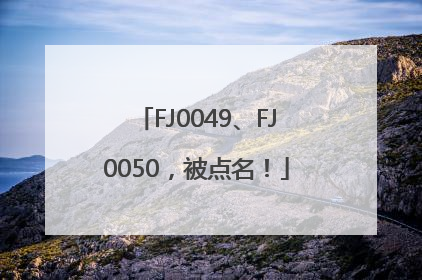 FJ0049、FJ0050，被点名！