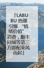 LABUBU 热潮引爆 “情绪价值” 消费，顺丰同城等第三方即配乘风而起
